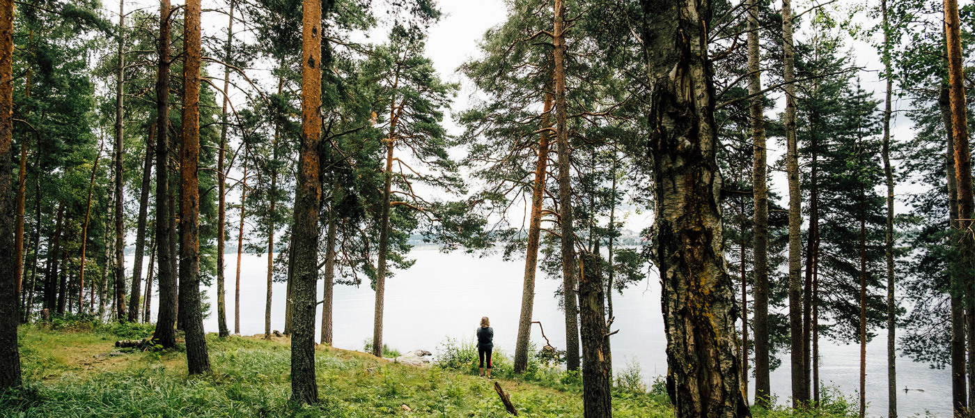 Valokuva Tampereen Lentävänniemen metsästäalueesta, jossa henkilö seisoo katse kohti Näsijärveä