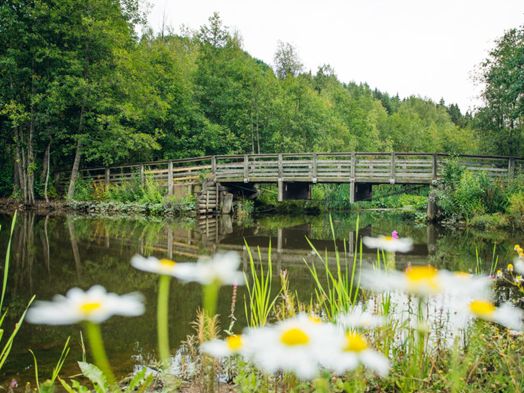 Vantaan Myyrmäen mätäojan kävelysilta