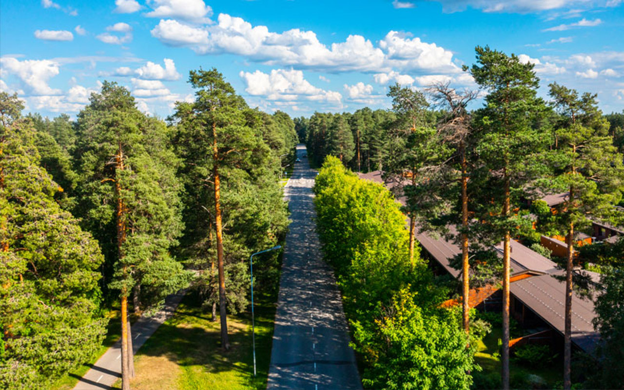 Oulun Mäntylän Mäntyjen välissä kulkeva tie