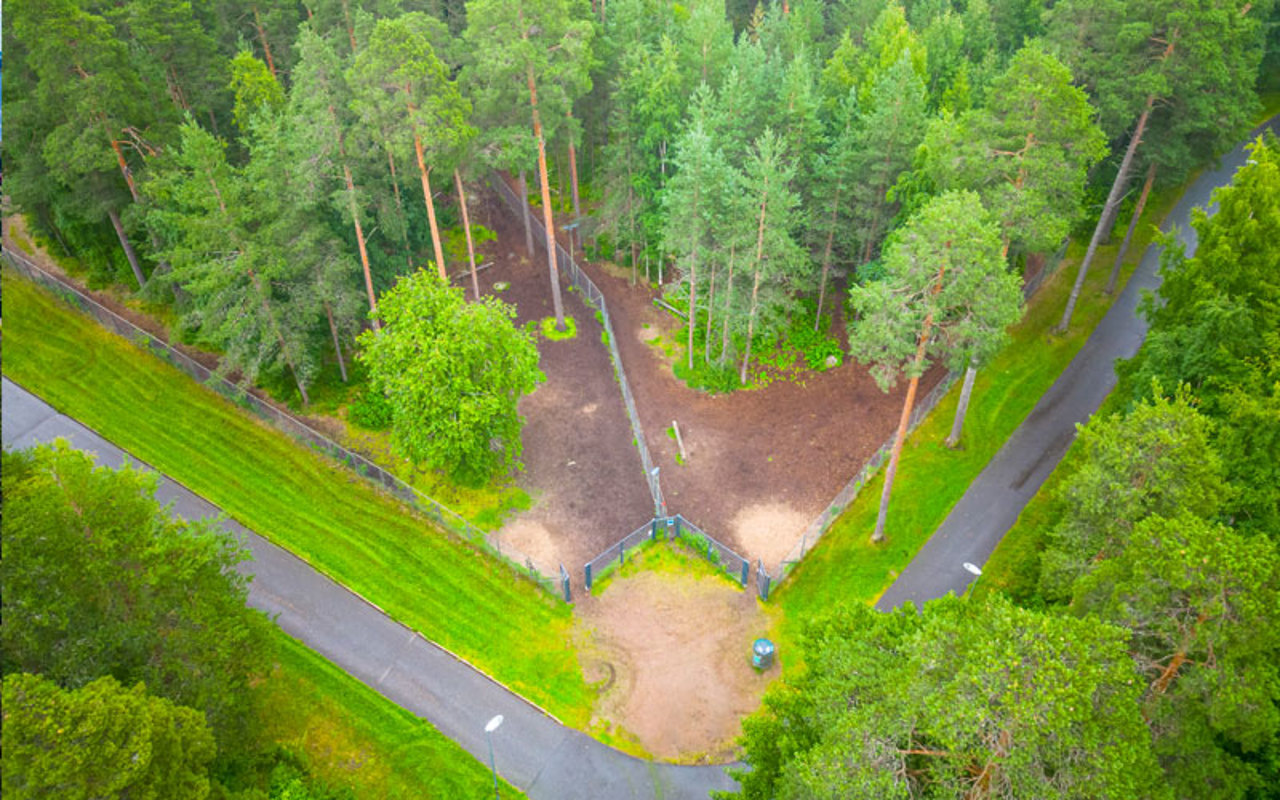 Oulun mäntylän koirapuisto