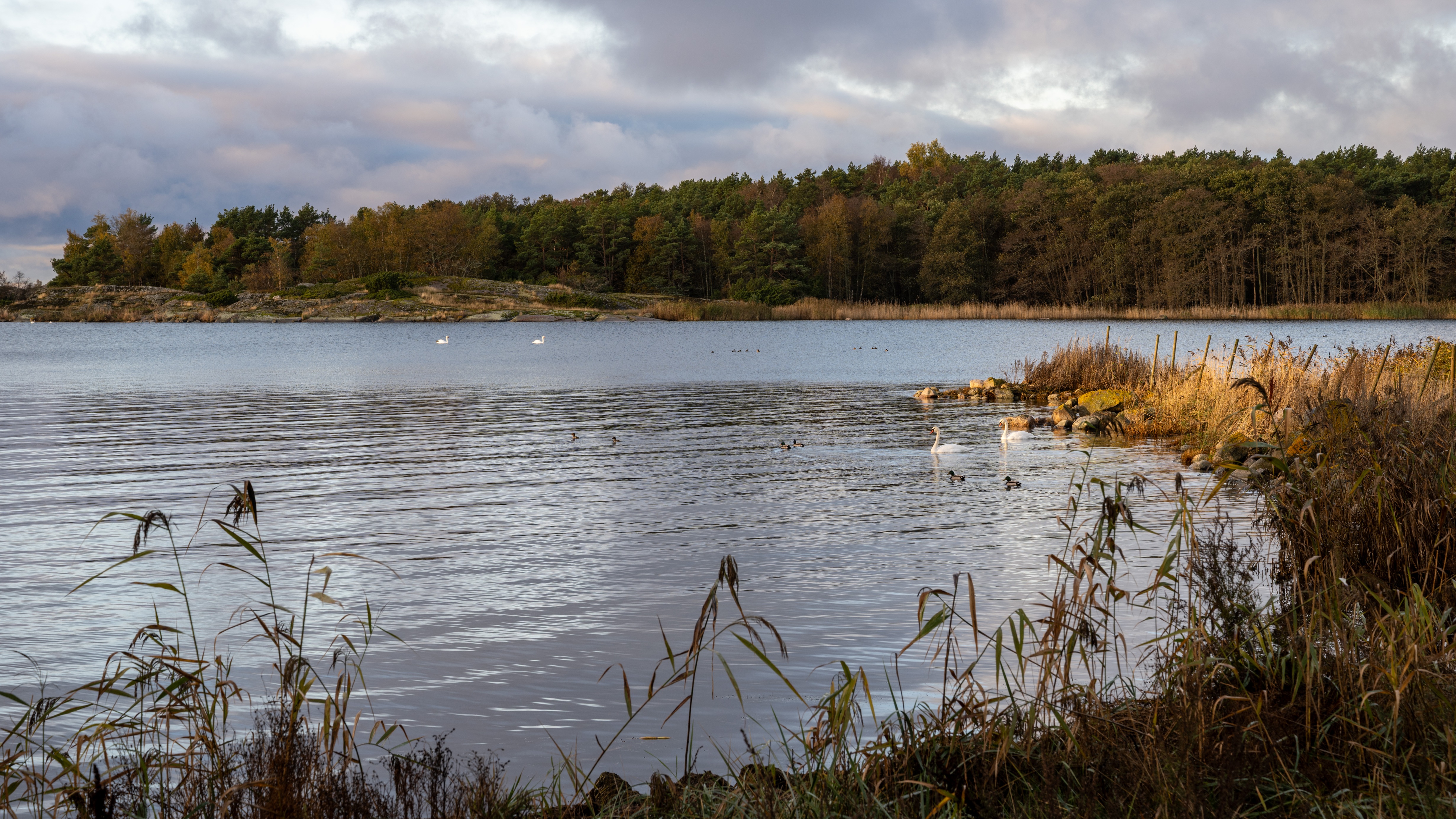 DSC_1082-2.jpg