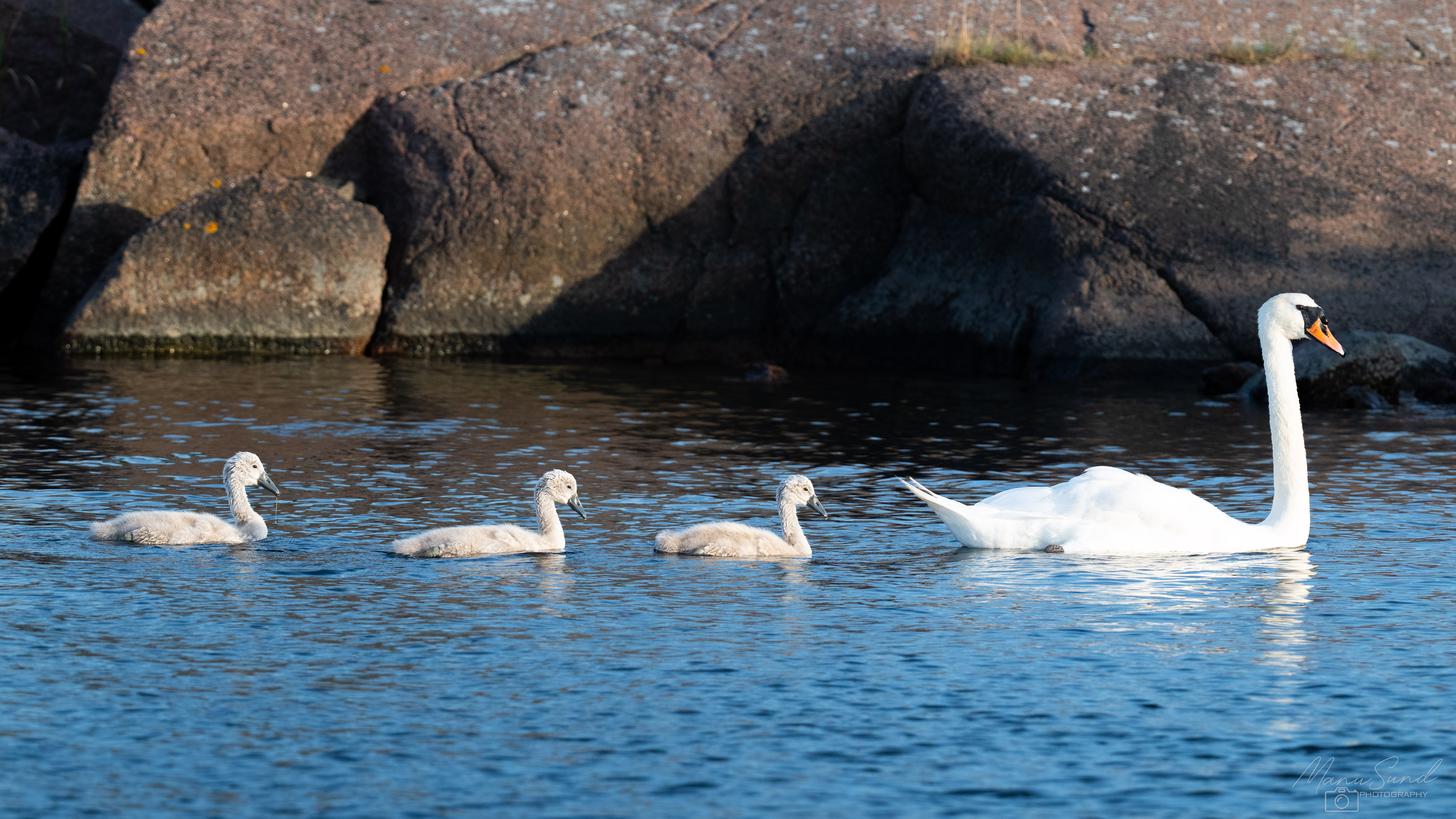 DSC_1683.jpg
