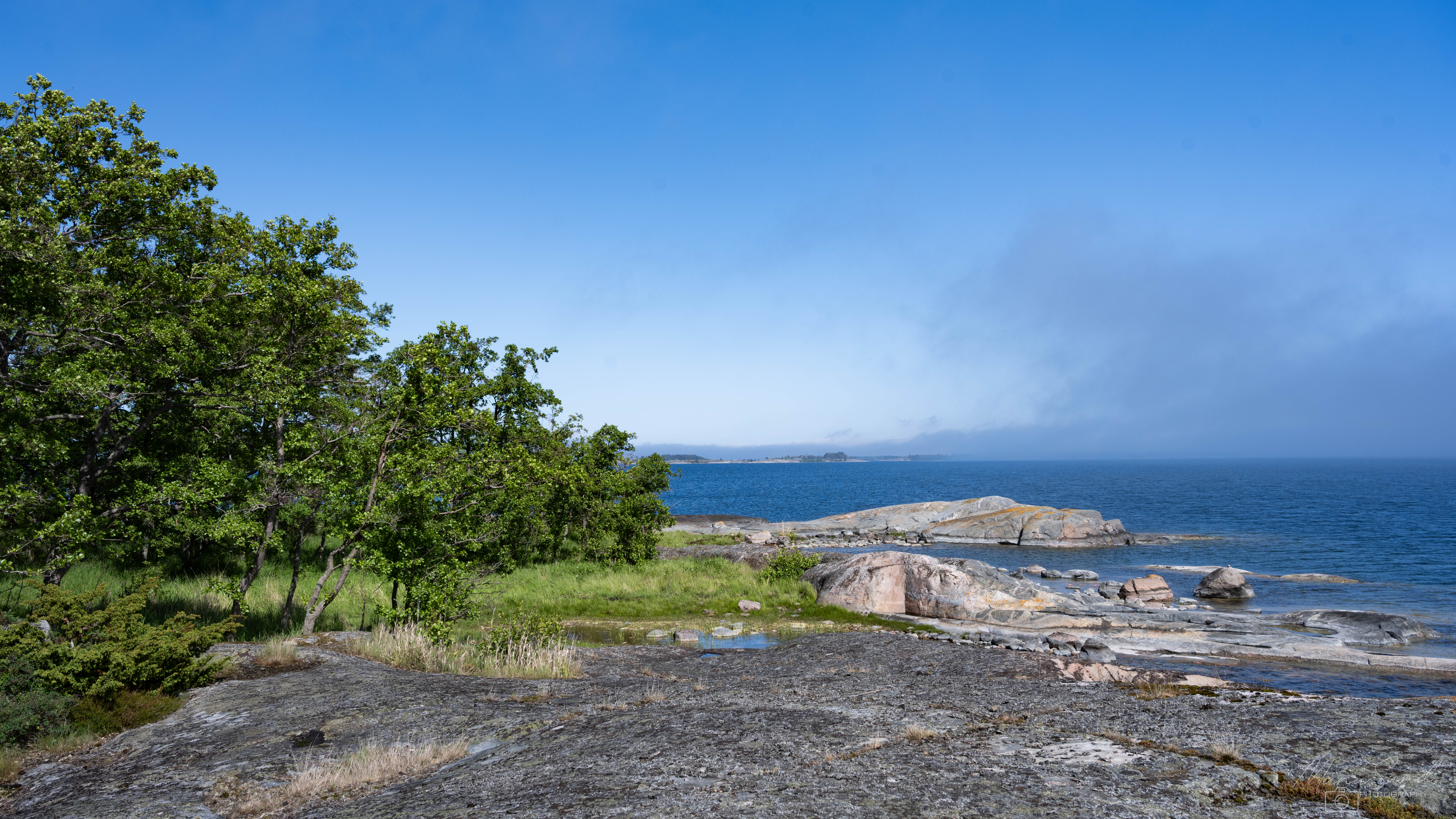 DSC_9775.jpg