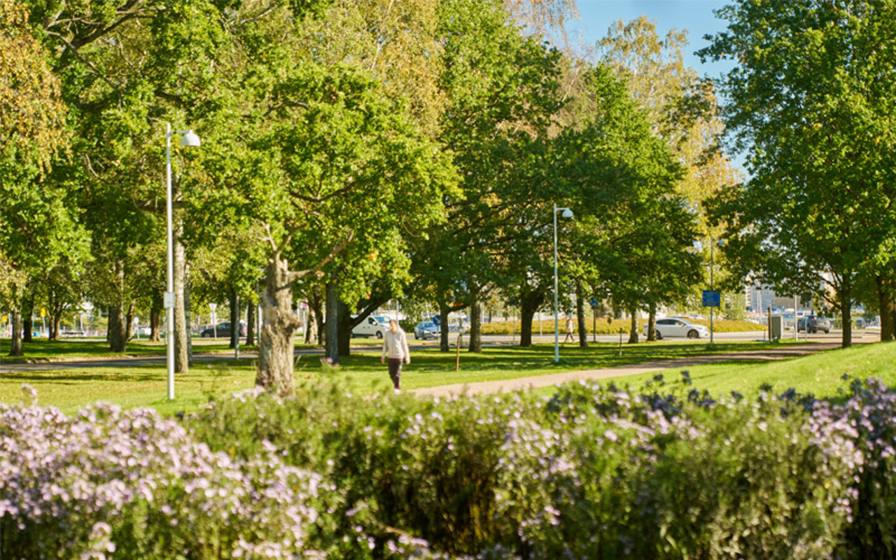 Valokuvanäkymä Helsingin Lauttasaaren vehreästä puistoalueesta kuvattuna kesällä 2025
